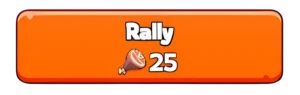 Advanced Rally Guide
